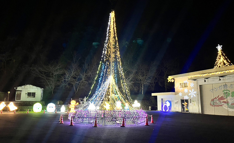 冬絵ぶた＆イルミネーション